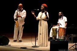 Voodoo Jazz trio