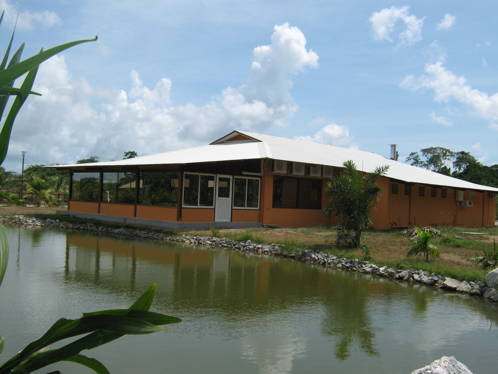 Le Ranch Le Bananier Bleu Le Ranch Le Bananier Bleu